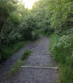 Blog Image