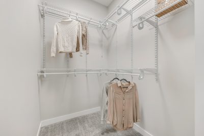 Junction at Beiseker New Single-Family Homes for Sale - walk-in closet